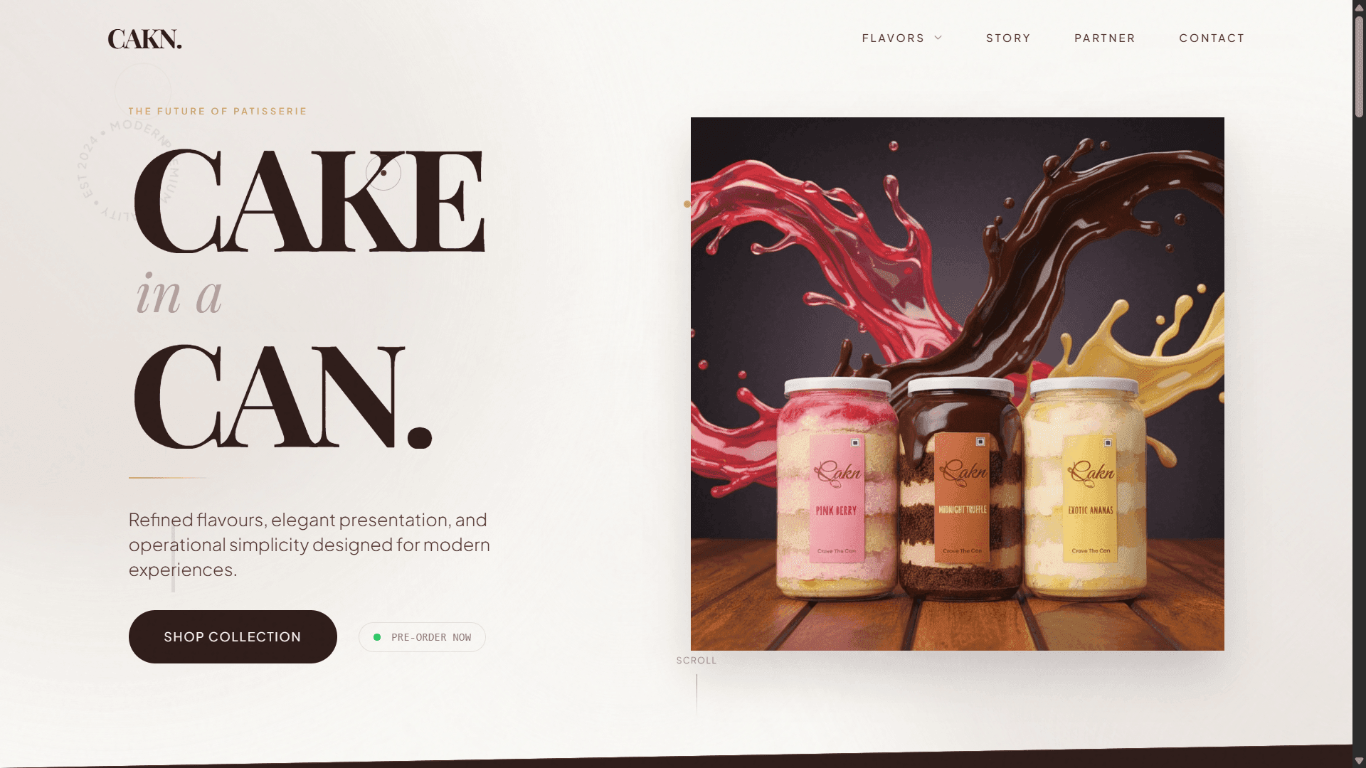 Web mockup 2